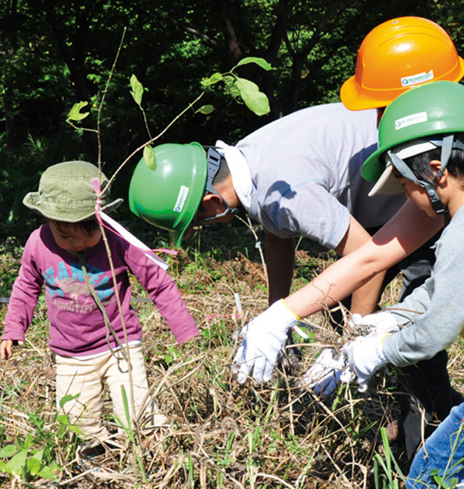 Japan Reforestation through tree planting and removal of non-native species
