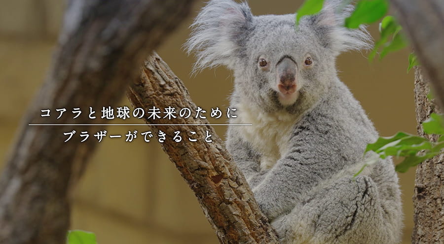 画像をクリックするとYouTubeへジャンプします​