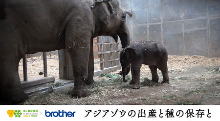 画像をクリックするとYouTubeへジャンプします​
