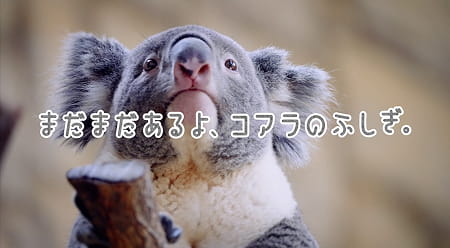 画像をクリックするとYouTubeへジャンプします​