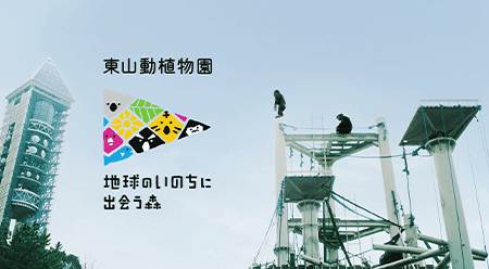 画像をクリックするとYouTubeへジャンプします​